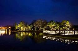 防疫抗疫，負重前行，太陽能路燈廠家牛氣沖天，犇起來?。。?>
															</div>
							<div   id=