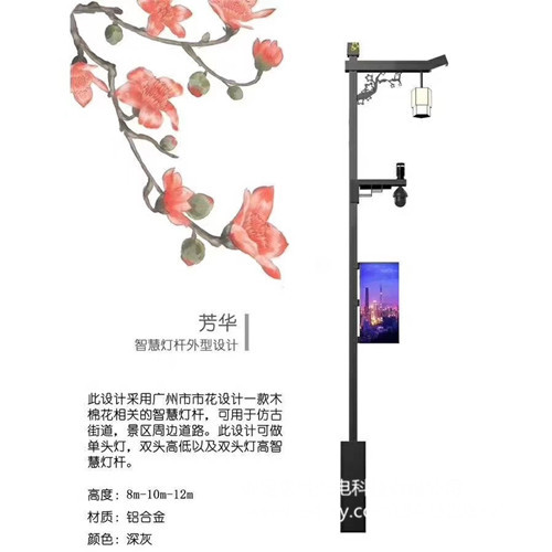 智慧路燈,智慧路燈廠家